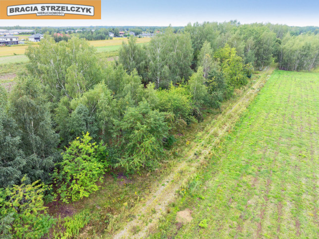 Działka Sprzedaż Walendów 10